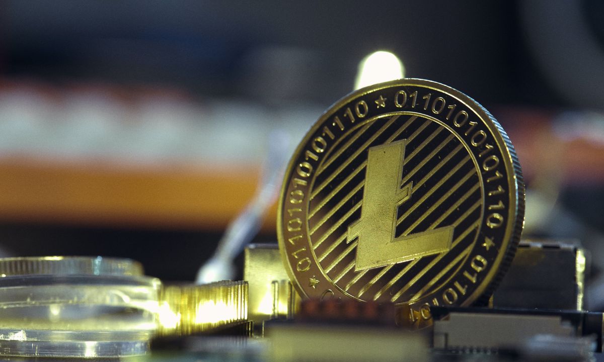 Litecoin’s mixed year: can LTC bounce back amid market uncertainty?