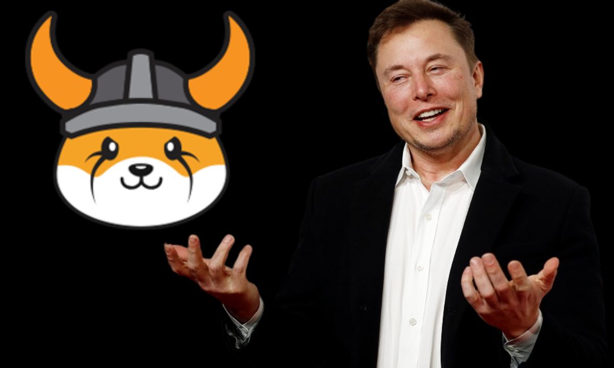 Elon Musk linked meme coin FLOKI defies crypto market slump