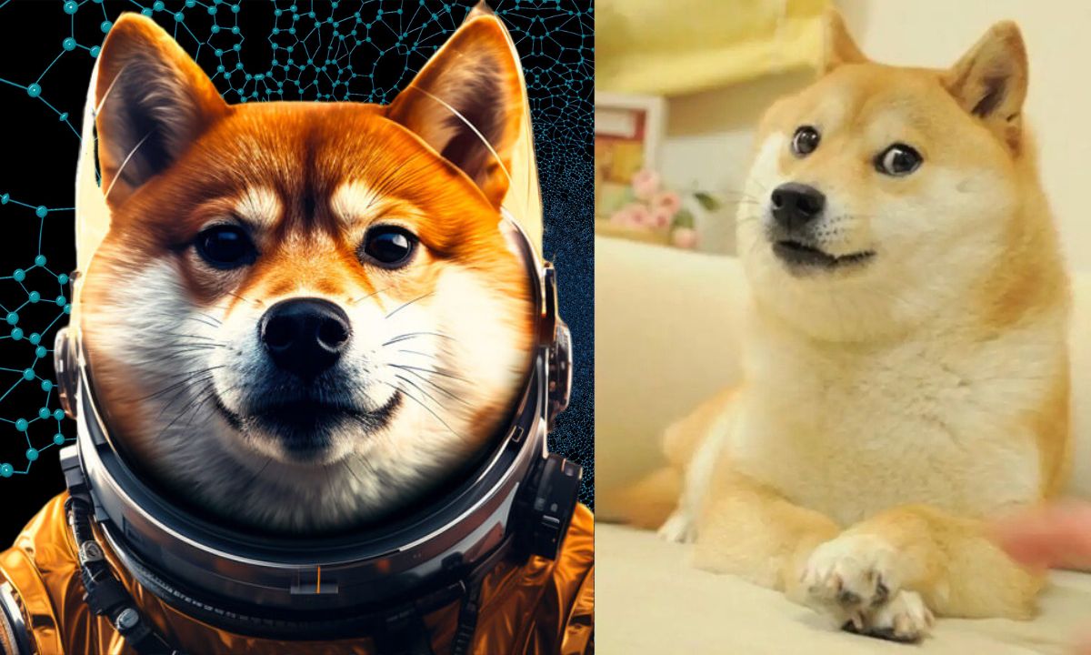 Netflix Director Bets Big On Dogecoin, Earns $27M Profit